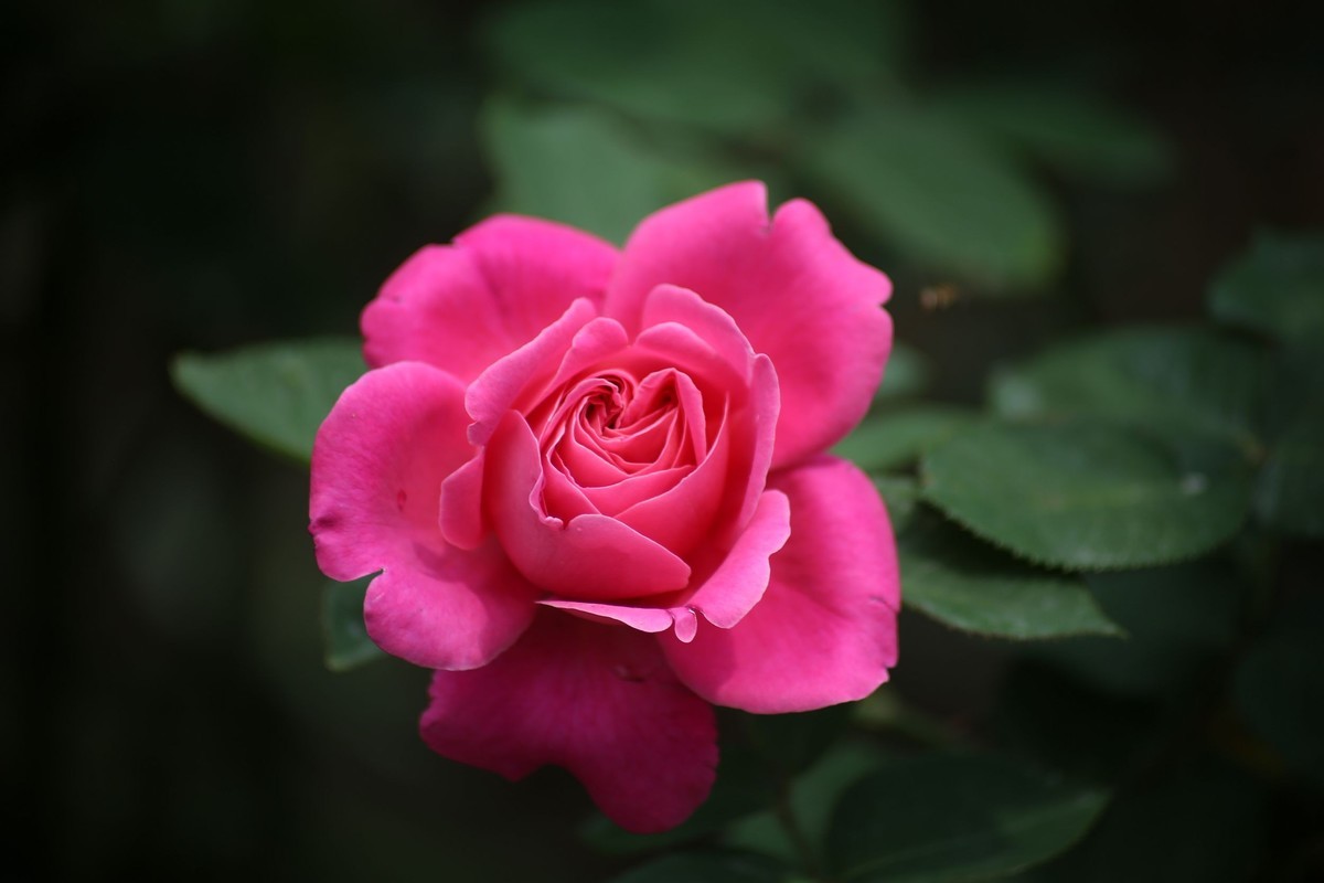 #版主坐堂#索尼大版星空(中国)2025年 5 月份优秀作品精选汇总