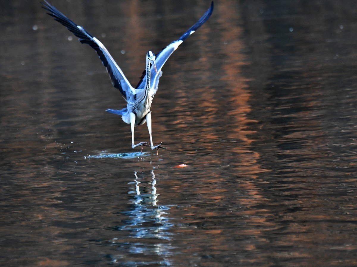 #版主坐堂#索尼大版星空(中国)2025年 5 月份优秀作品精选汇总