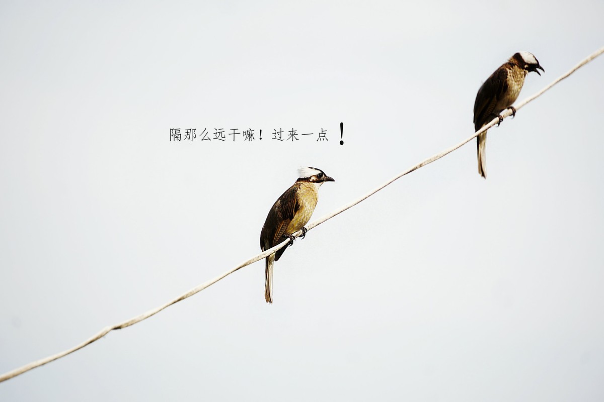 不好意思