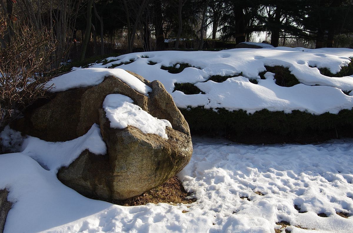 残雪