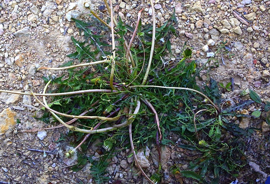 《不老松：纪实摄影》【大好河山系列报導】邯郸游摄！寻找掛壁公路！！ (20)导航给我