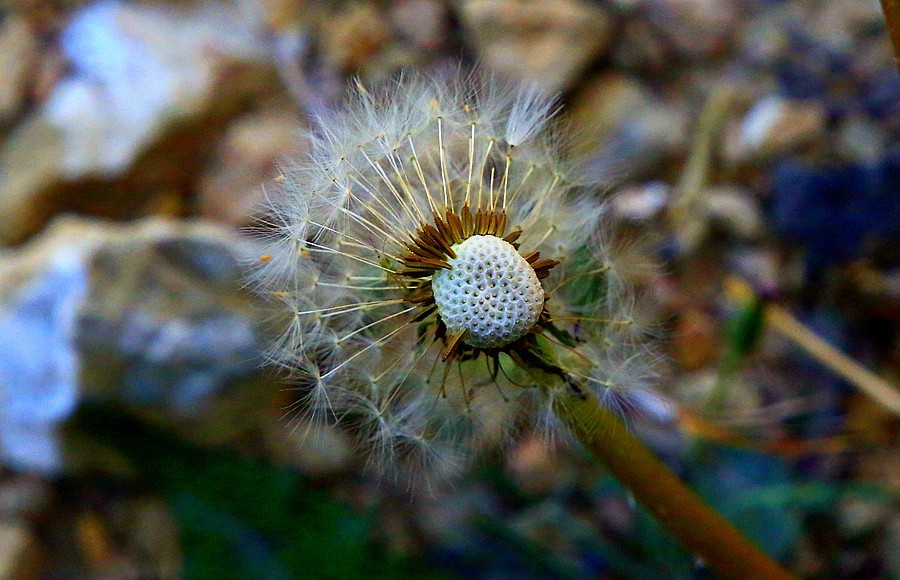 《不老松：纪实摄影》【大好河山系列报導】邯郸游摄！寻找掛壁公路！！ (20)导航给我
