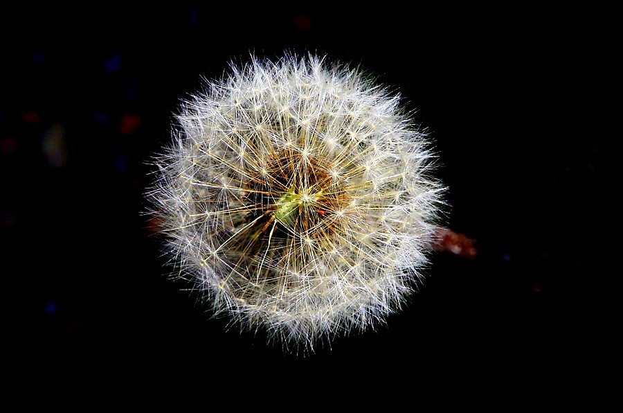 《不老松：纪实摄影》【大好河山系列报導】邯郸游摄！寻找掛壁公路！！ (20)导航给我