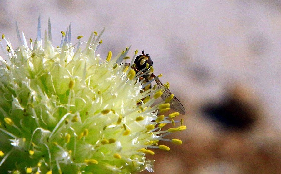 《不老松：纪实摄影》【大好河山系列报導】邯郸游摄！寻找掛壁公路！！ (20)导航给我