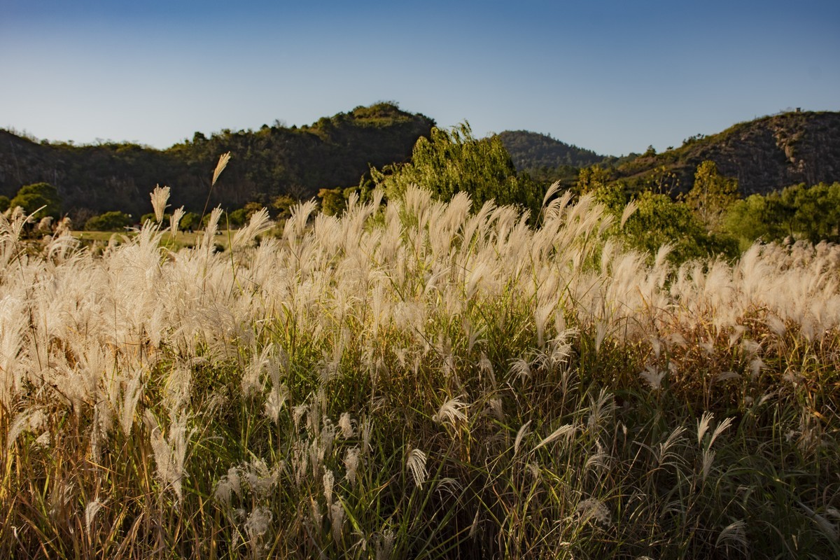 拍照狂魔之-深秋芦花【9P】