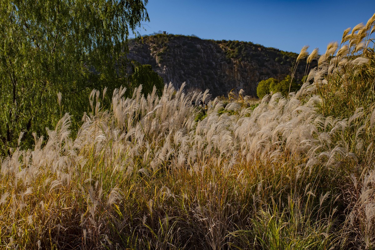 拍照狂魔之-深秋芦花【9P】