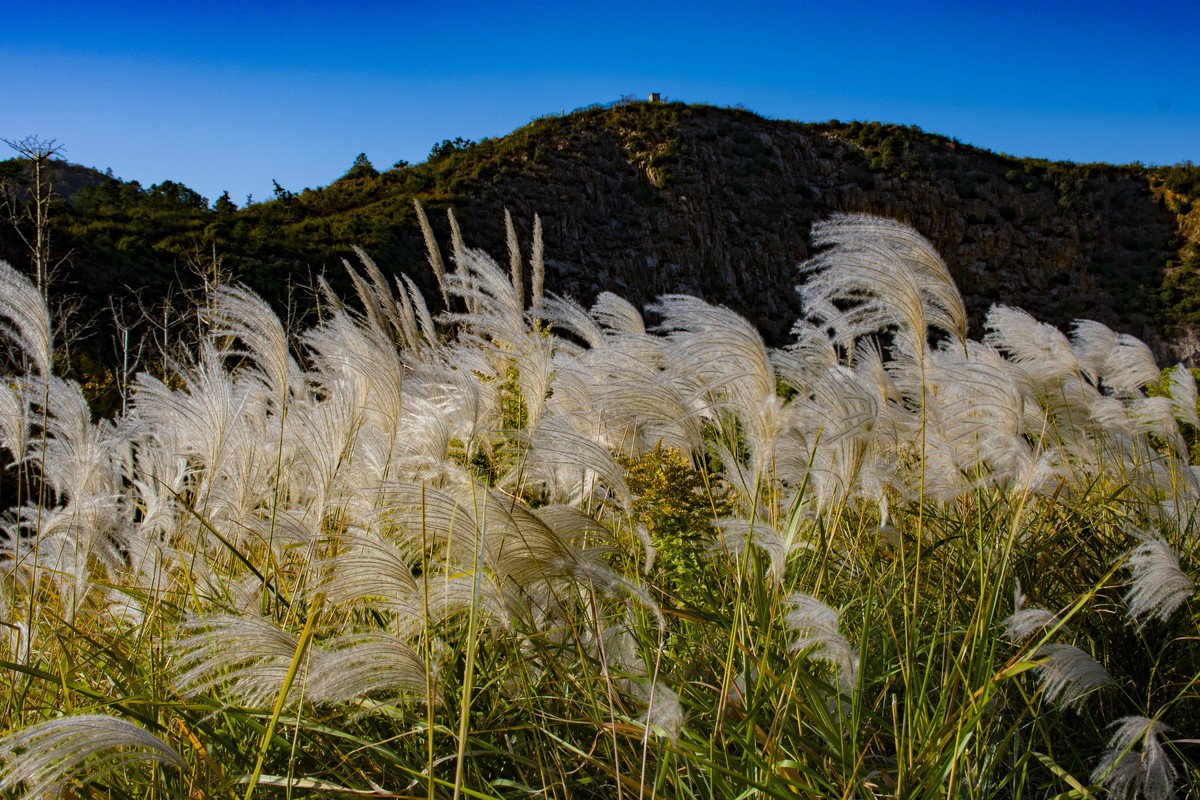 拍照狂魔之-深秋芦花【9P】
