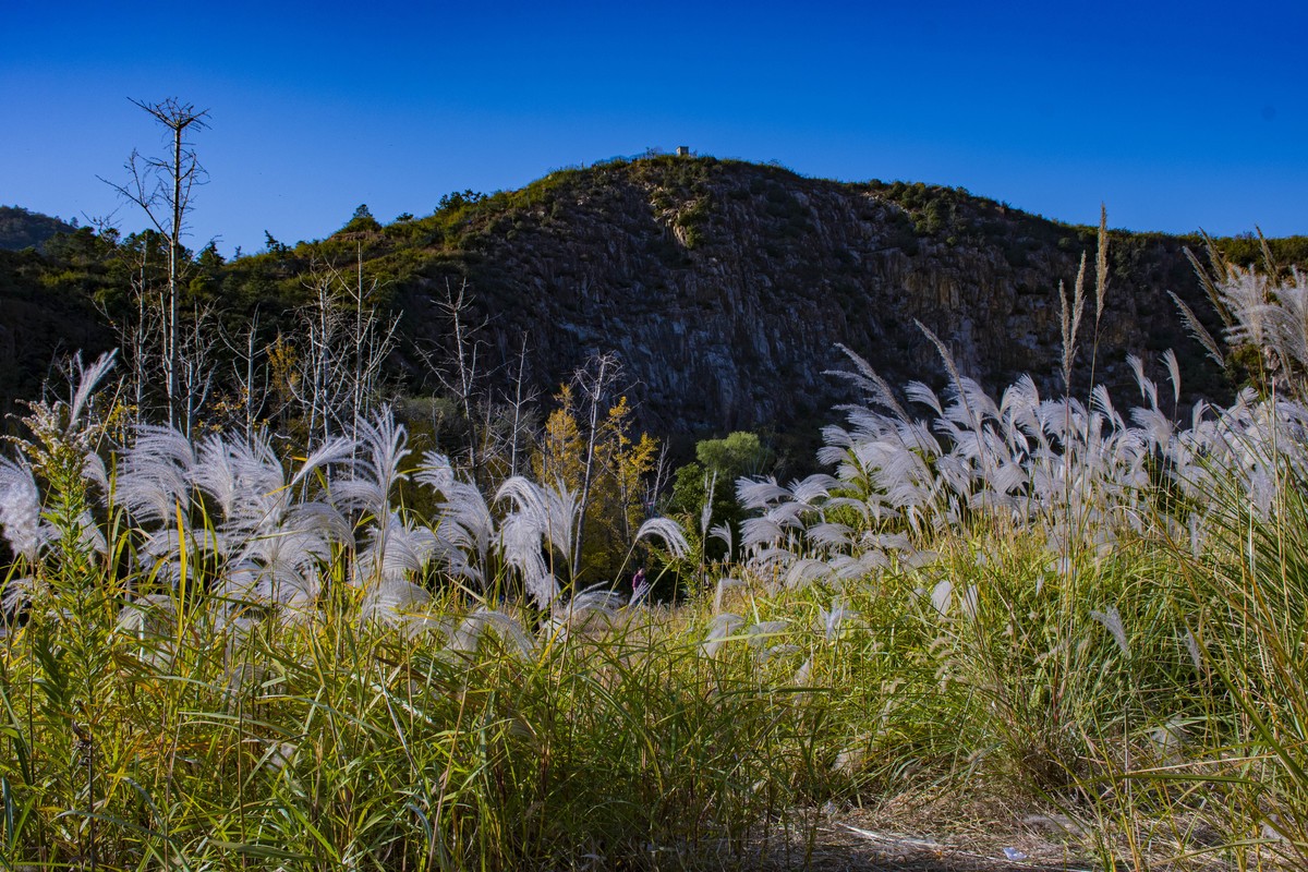 拍照狂魔之-深秋芦花【9P】