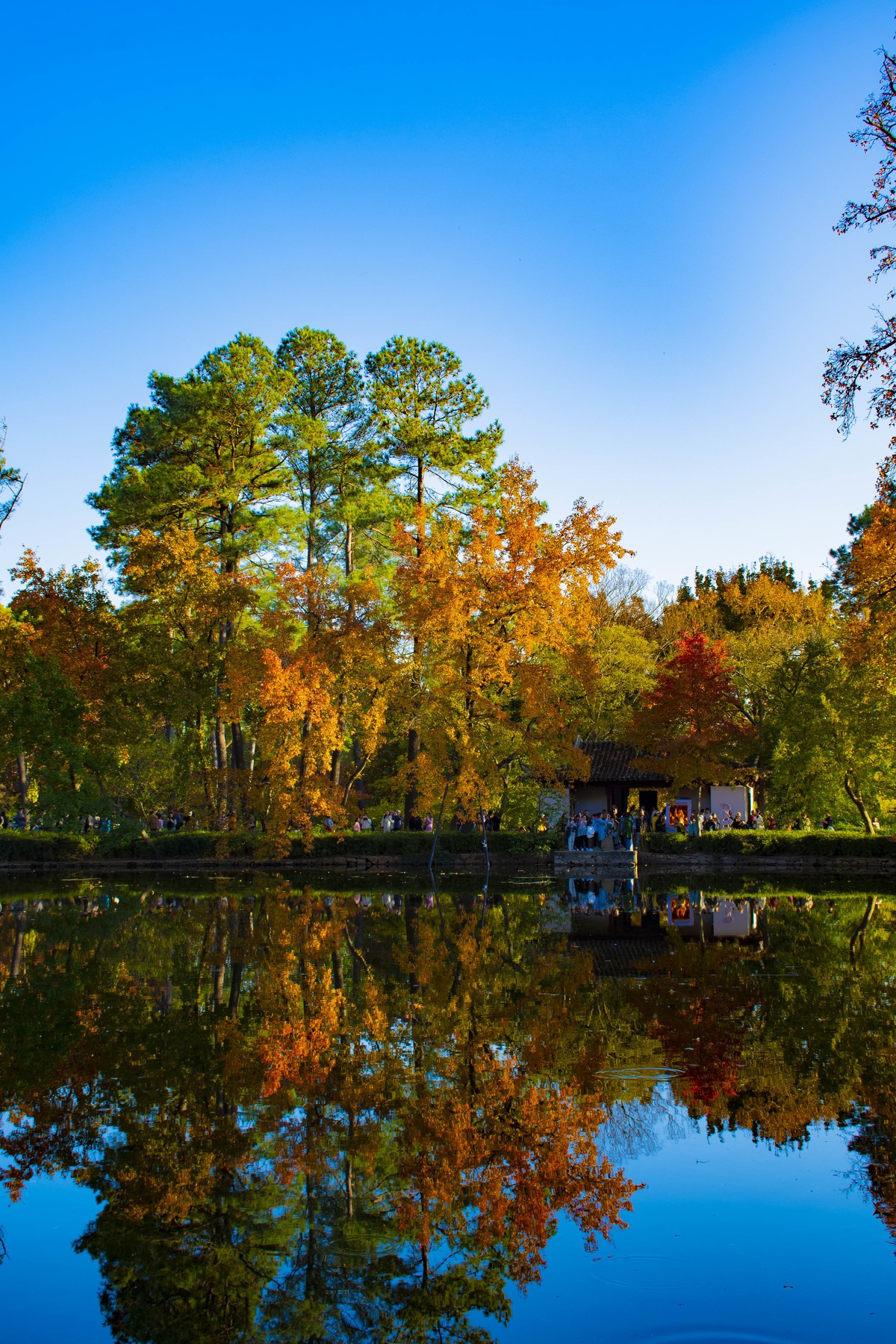 拍照狂魔之-天平紅葉【9P】