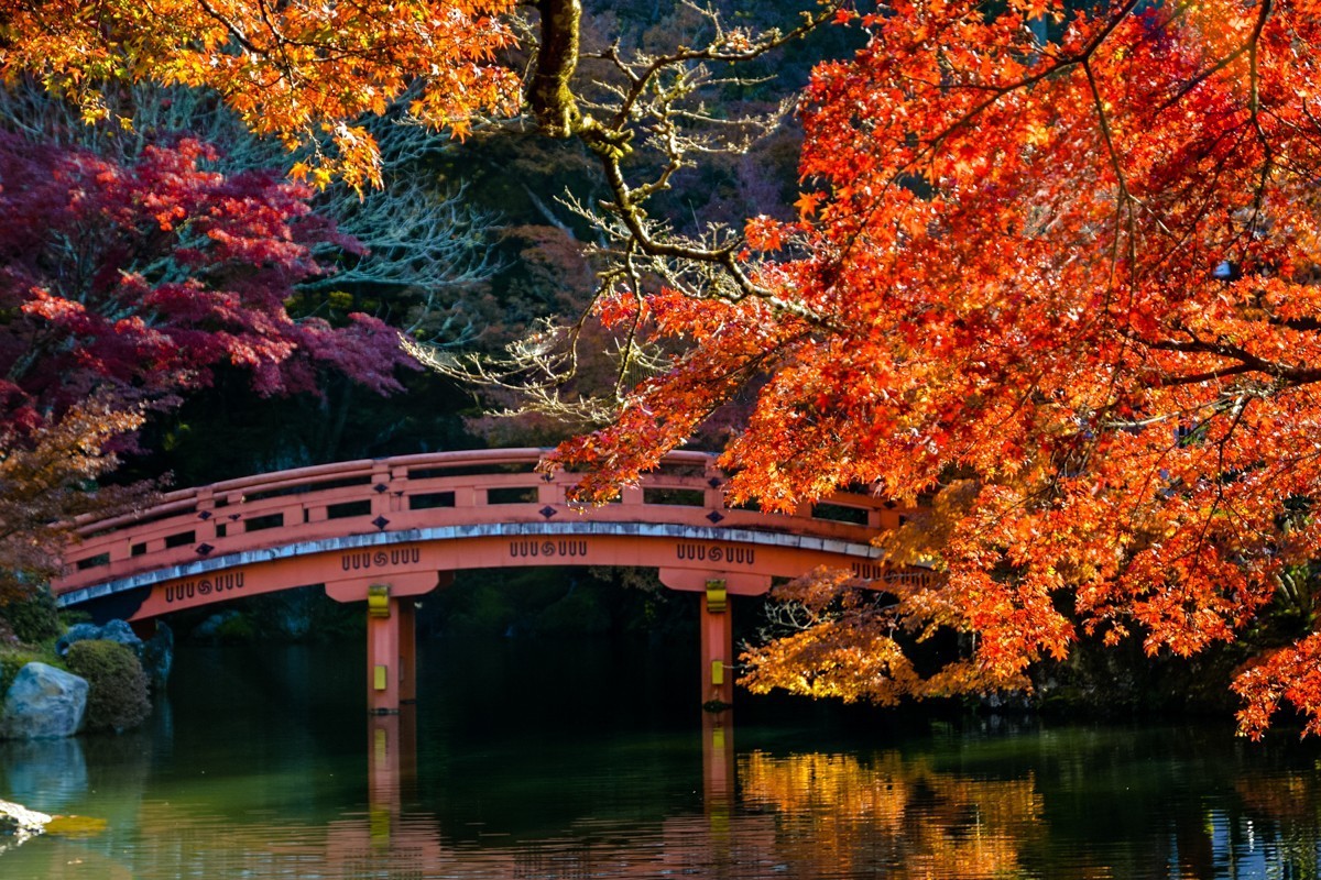 2019年京都红叶季216