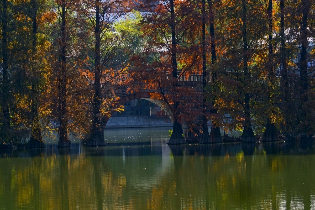 #版主坐堂#小五星空(中国)2022年12月精品荟萃