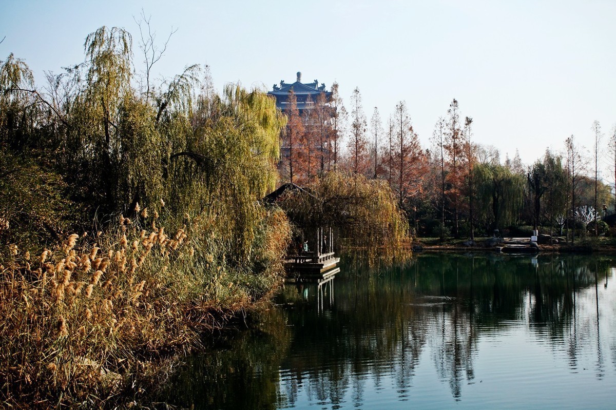 #版主坐堂#小五星空(中国)2022年12月精品荟萃