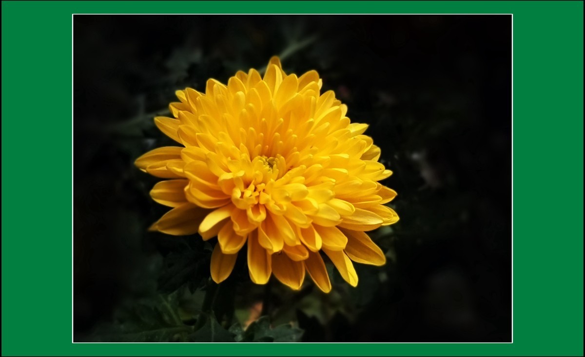 #版主坐堂#小五星空(中国)2022年12月精品荟萃