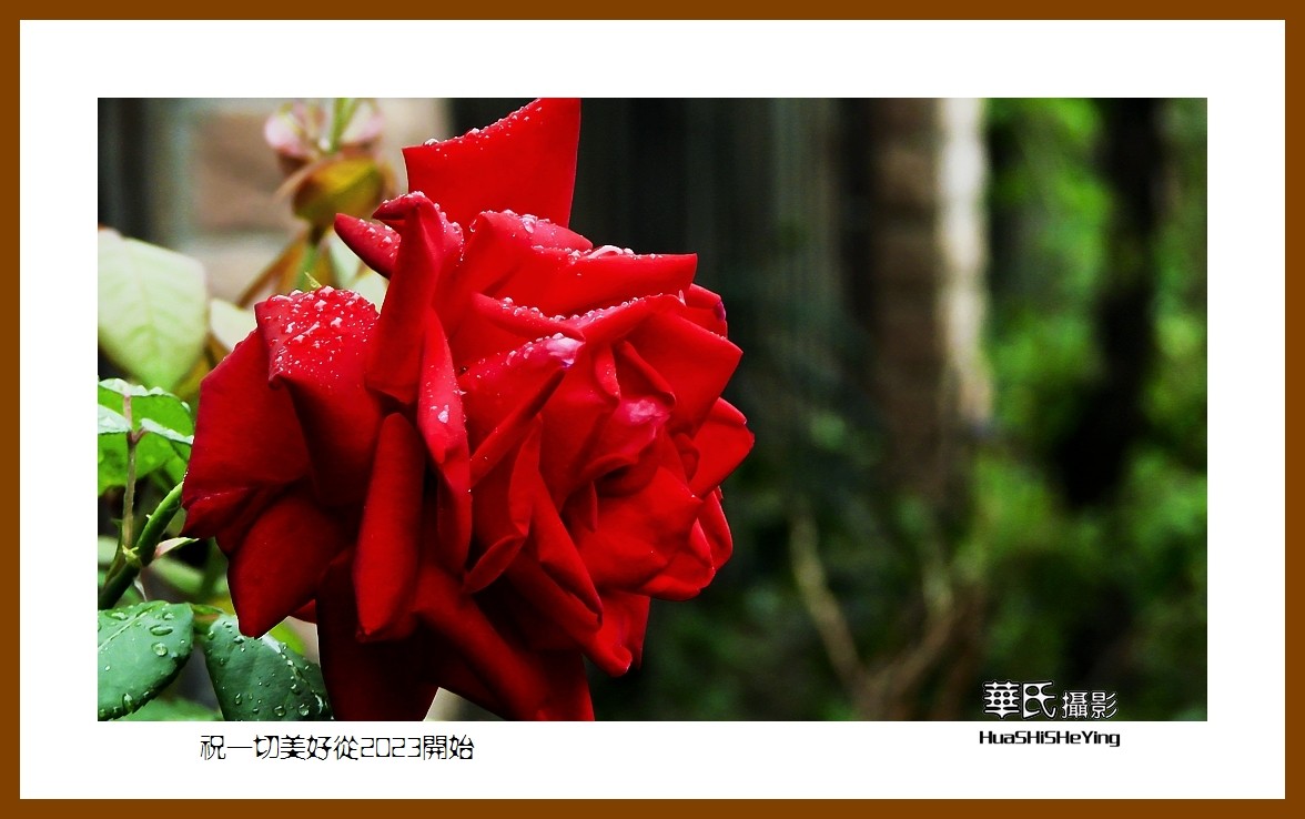 祝一切美好从2023开始—愿朋友们新年里健康平安