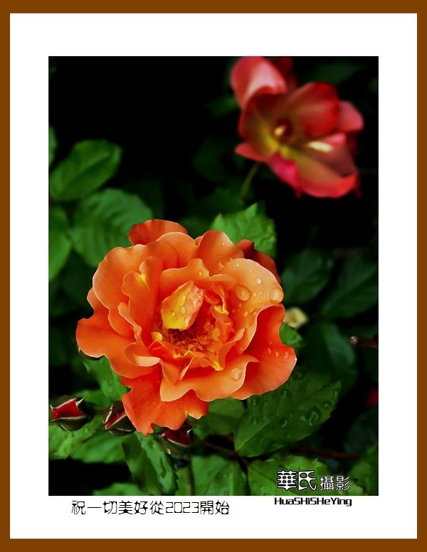 祝一切美好从2023开始—愿朋友们新年里健康平安