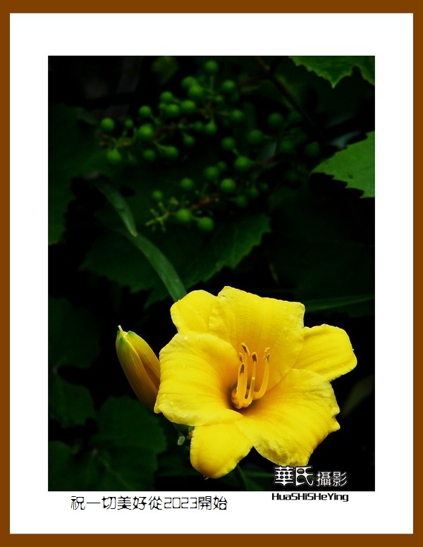 祝一切美好从2023开始—愿朋友们新年里健康平安