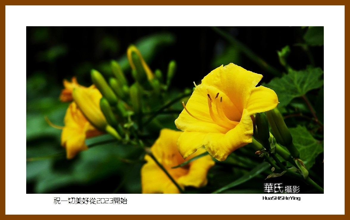 祝一切美好从2023开始—愿朋友们新年里健康平安