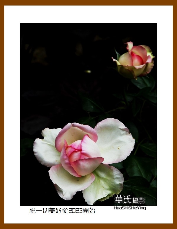 祝一切美好从2023开始—愿朋友们新年里健康平安