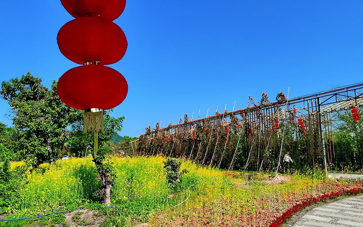 23104─ 春游长岭农业公园（3）