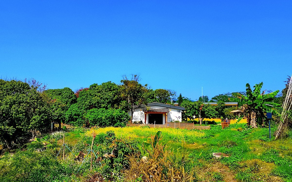 23104─ 春游长岭农业公园（3）