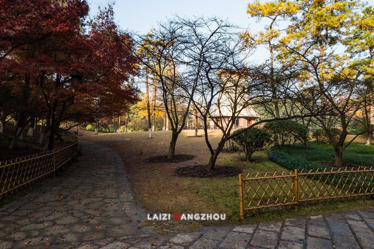 冬已至  秋未尽  (1)