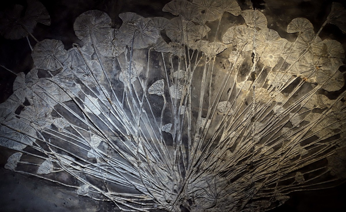 重庆 喀斯特地质