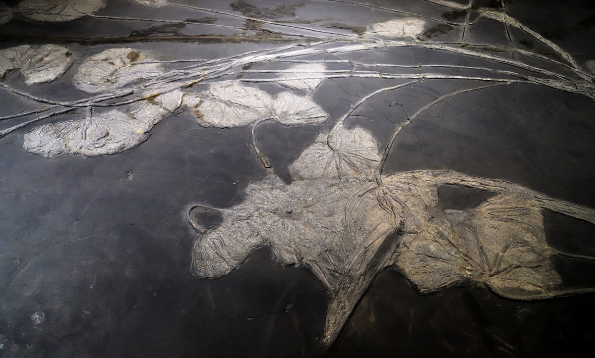 重庆 喀斯特地质