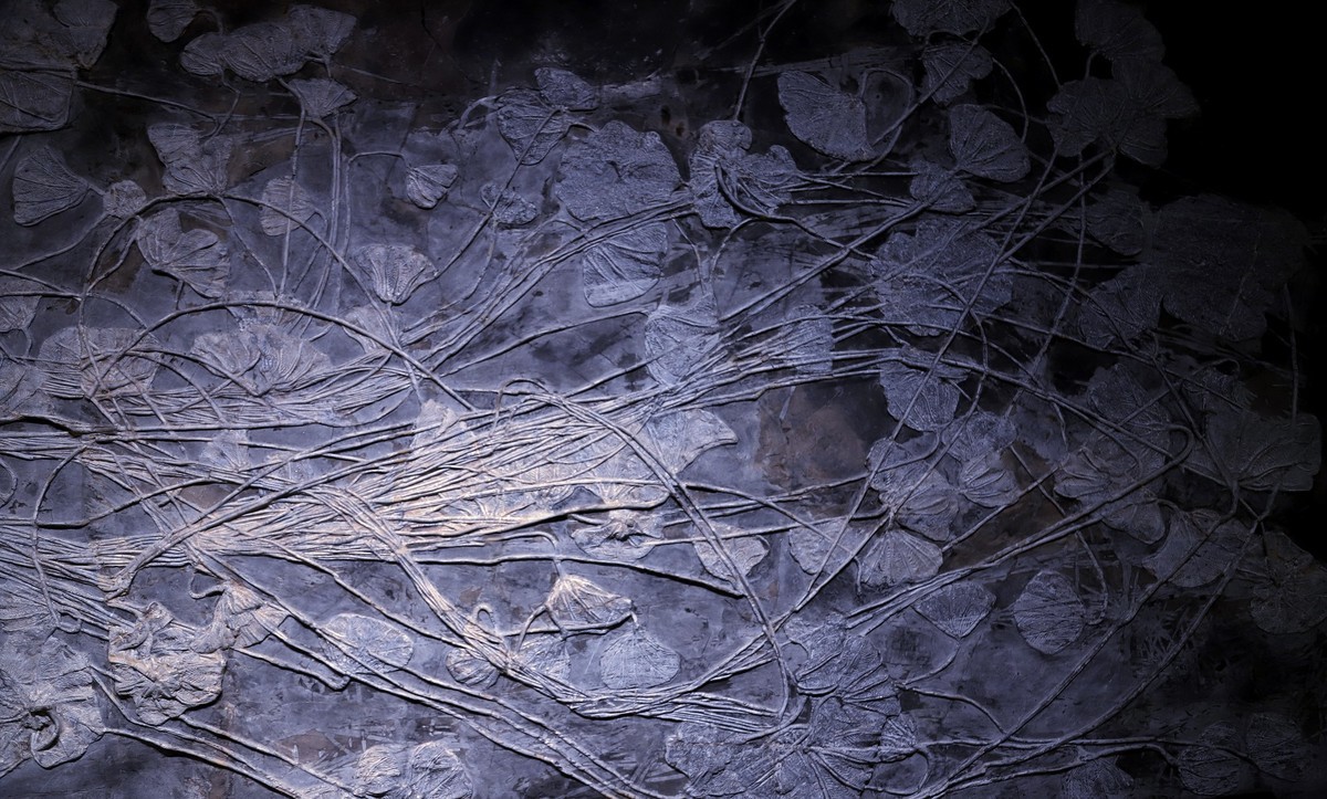 重庆 喀斯特地质