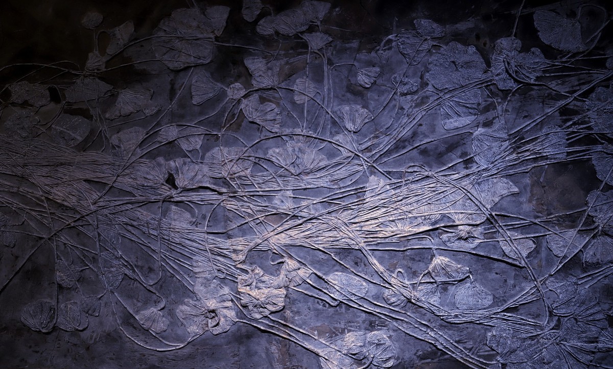 重庆 喀斯特地质