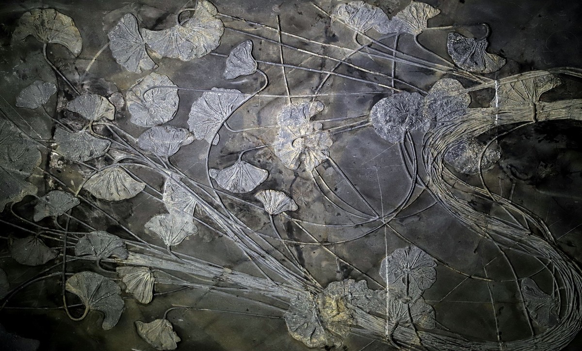 重庆 喀斯特地质