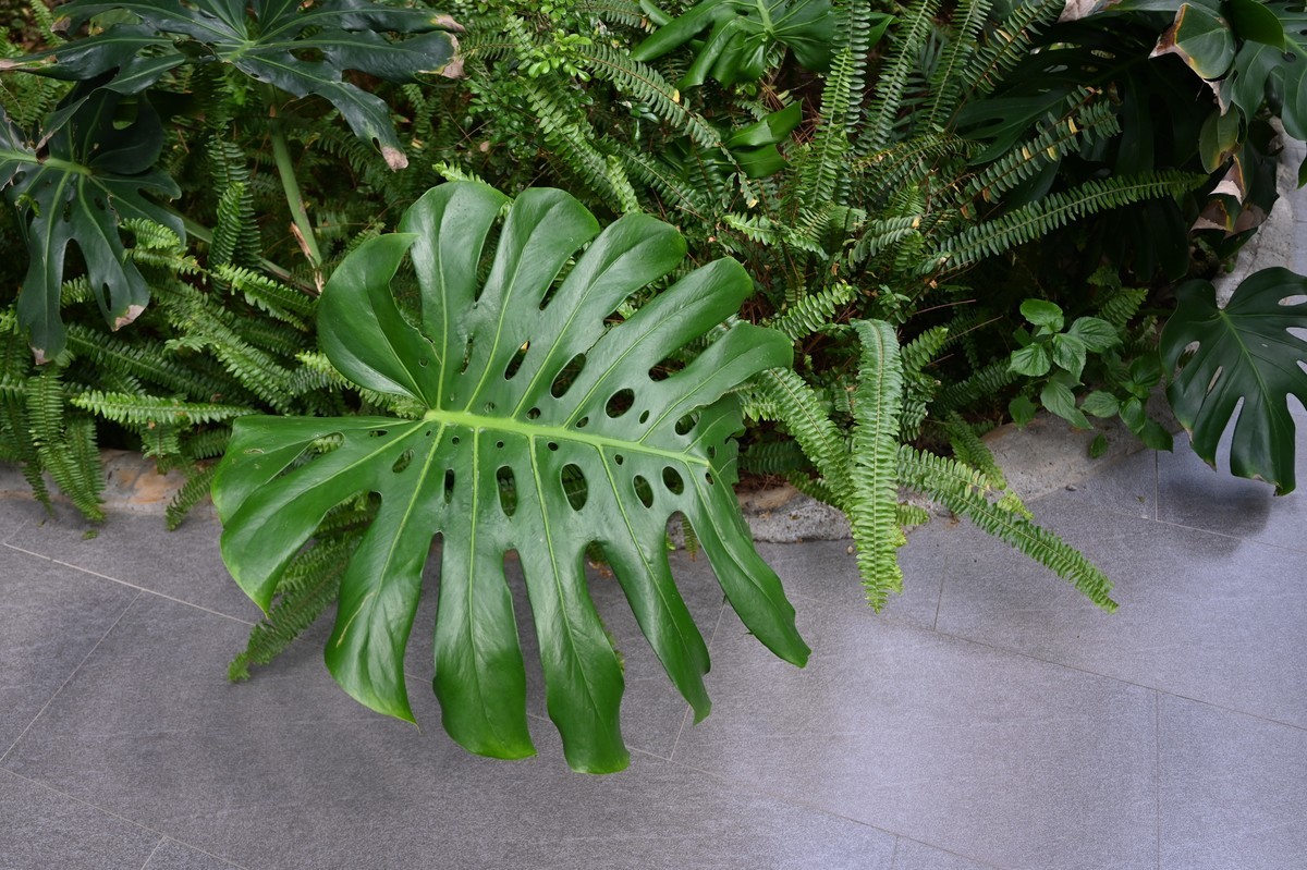 黄河金岸【沙坡头区】