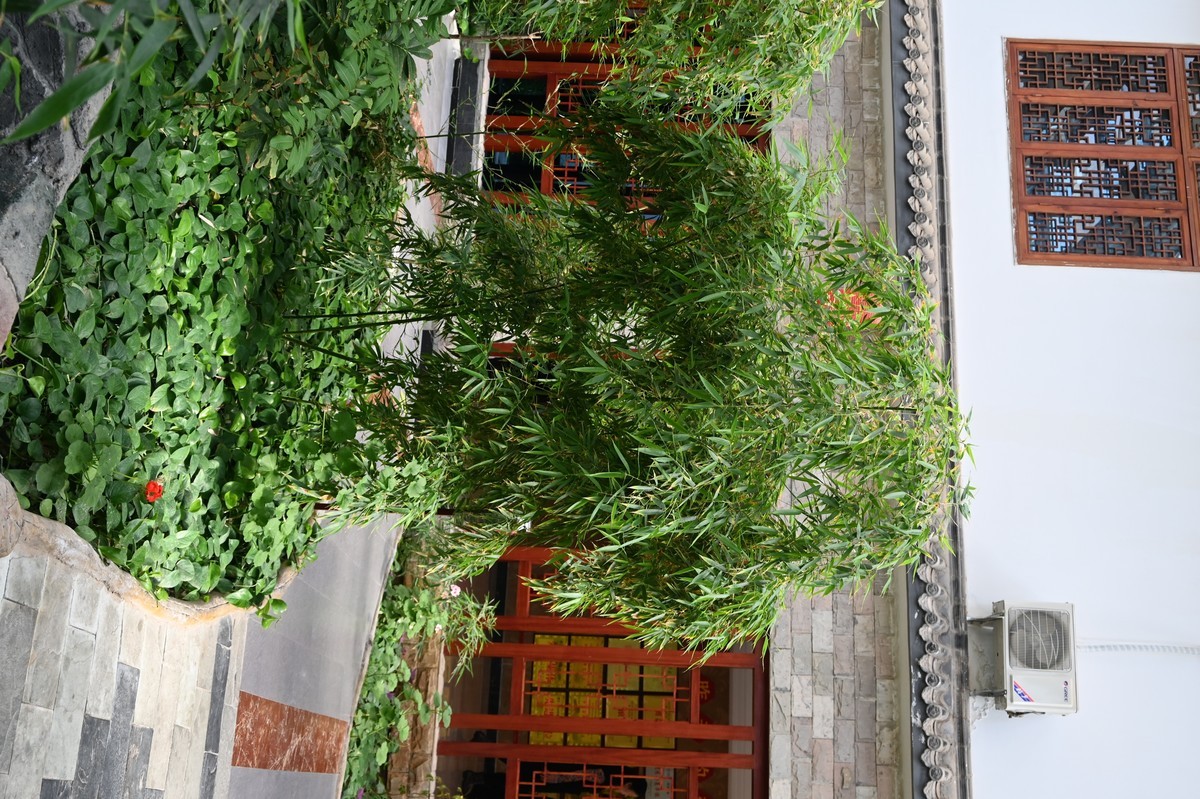 黄河金岸【沙坡头区】