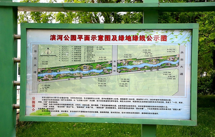 不老松纪实摄影大美沧州系列报道滨河公园景