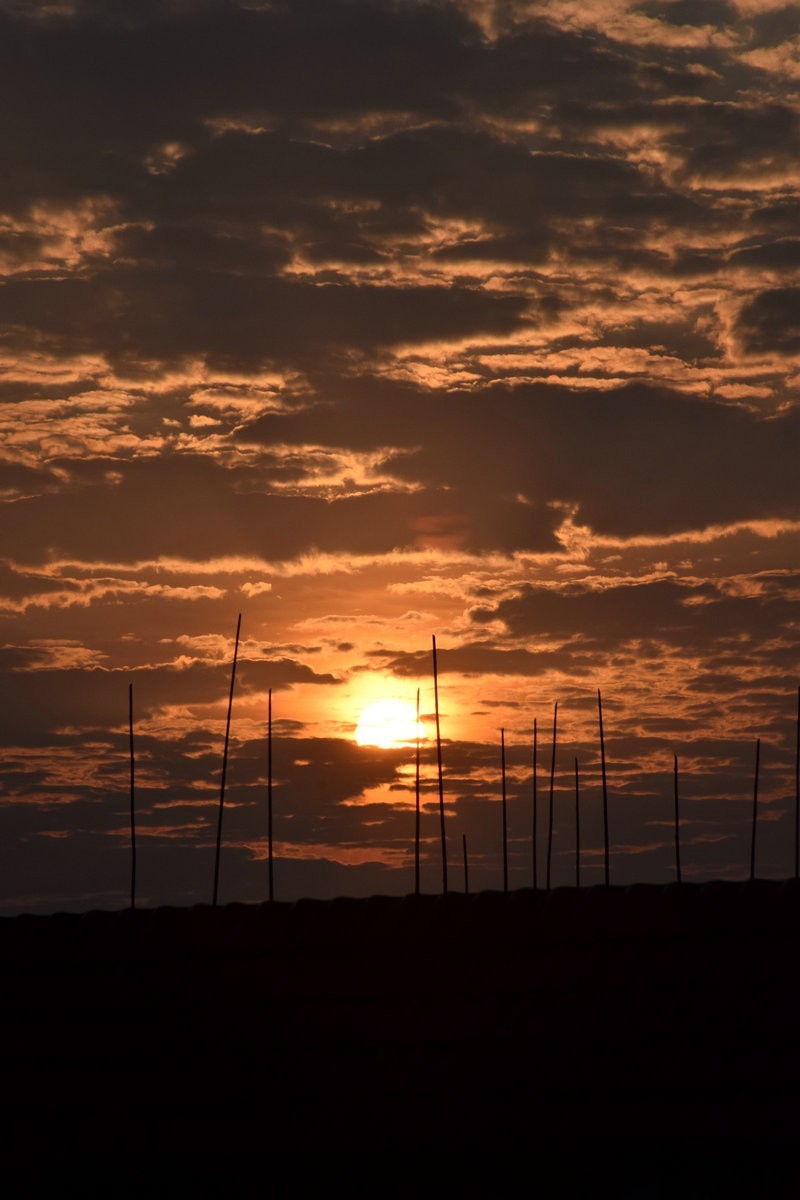 2024春节 滇桂沿边行（37）广西白粥配万物