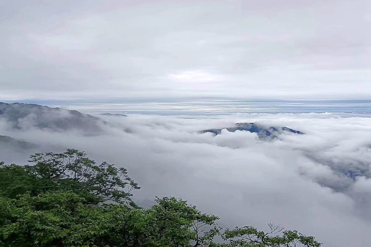 手机片     梵净山