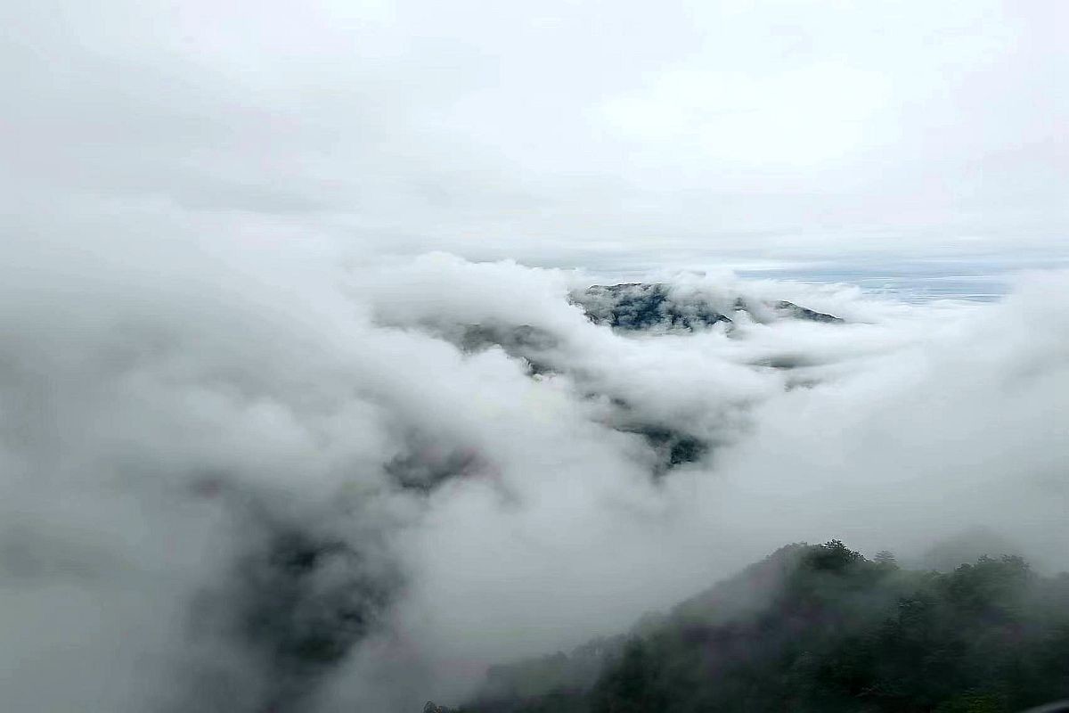 手机片     梵净山