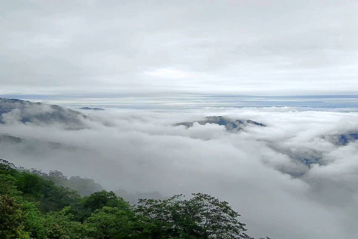 手机片     梵净山
