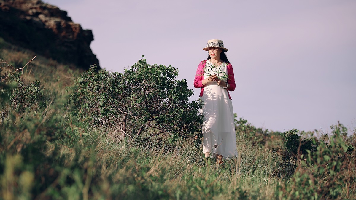 野山坡上的紫白诗意