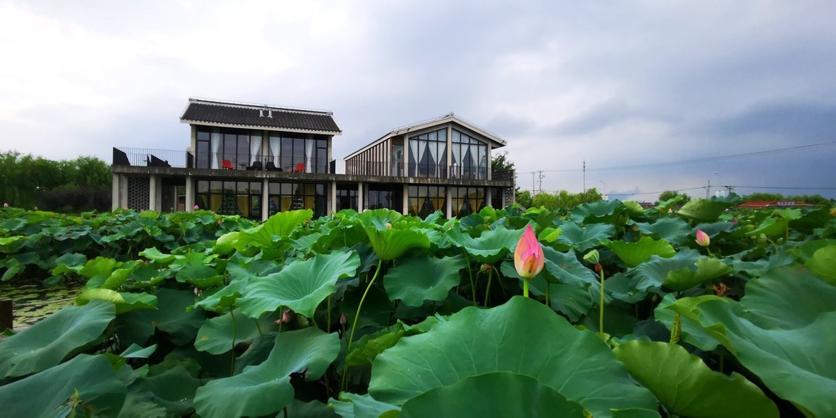 金山水库村湿地公园