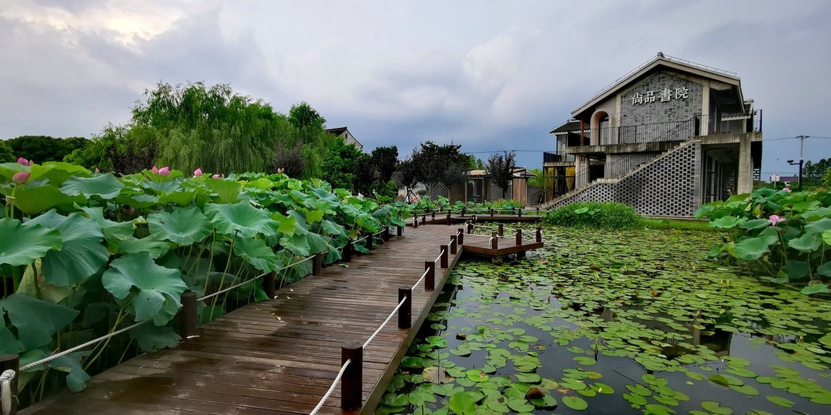 金山水库村湿地公园