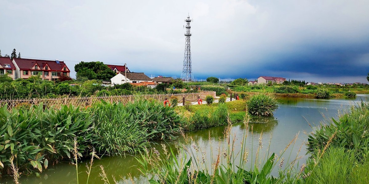 金山水库村湿地公园