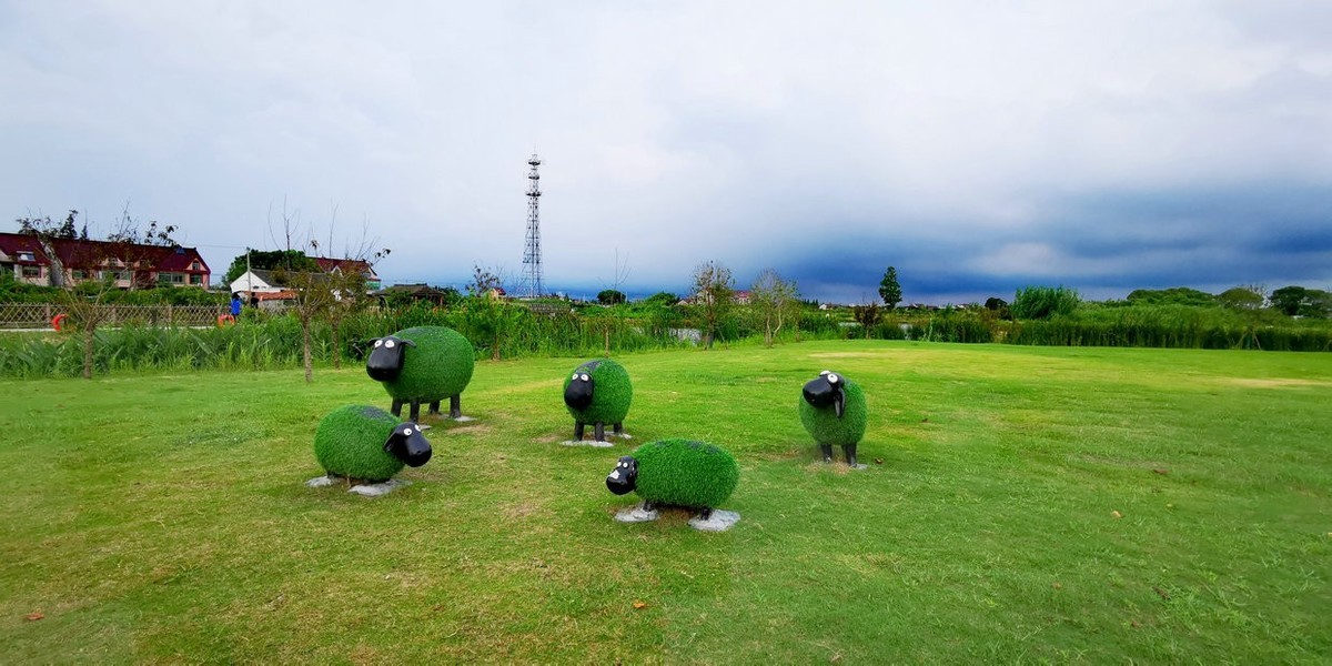 金山水库村湿地公园