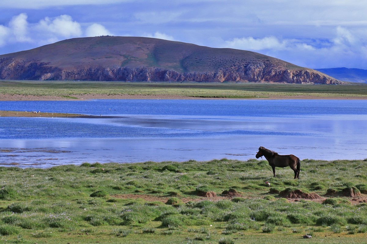 我只是把出去看到的随手记录下来（八十一）