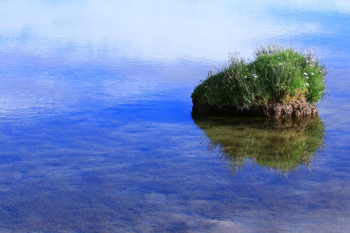 我只是把出去看到的随手记录下来（八十一）
