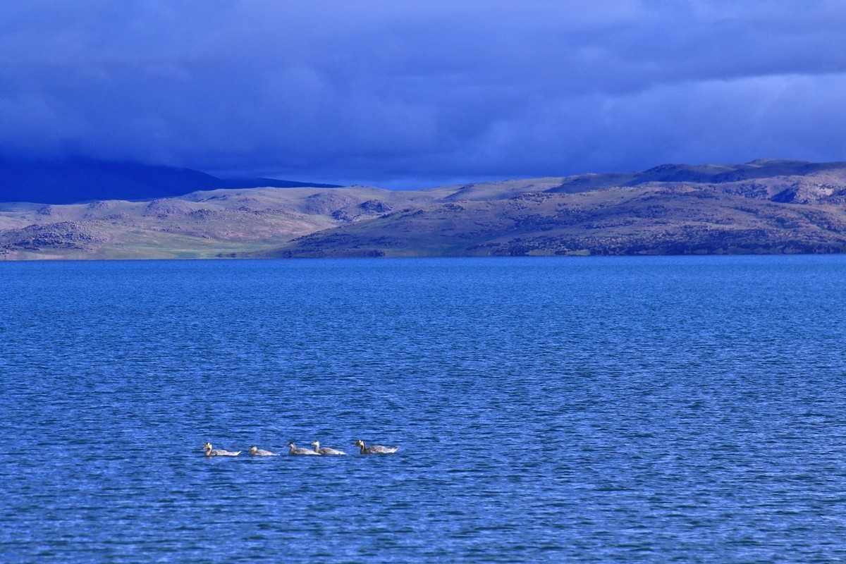 我只是把出去看到的随手记录下来（八十一）