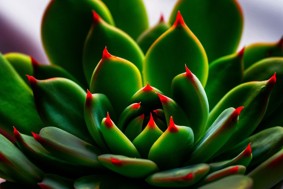 随拍—开心娱乐