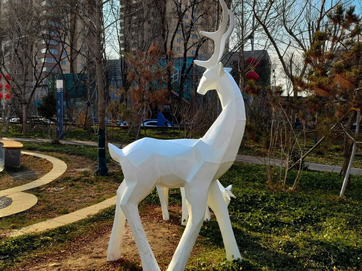 随拍—开心娱乐