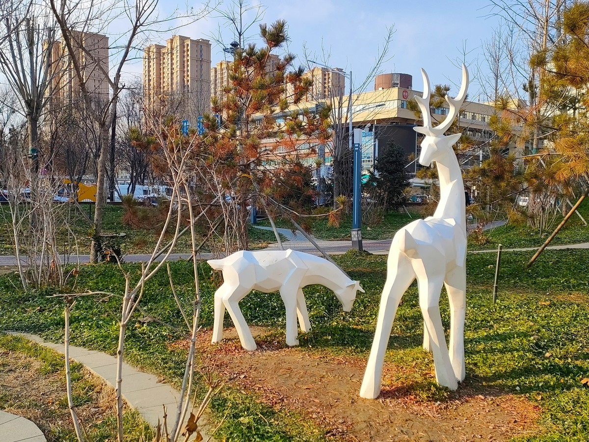 随拍—开心娱乐