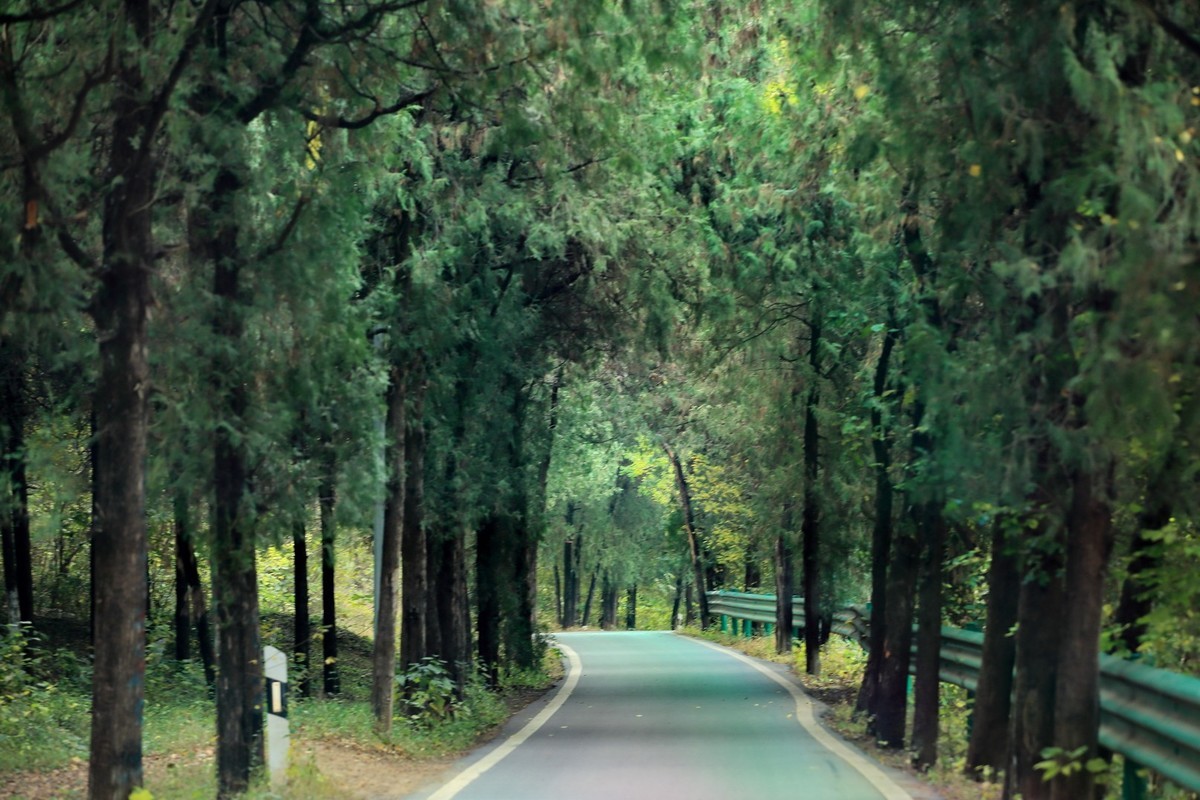 徐州及周边国道（秋色）