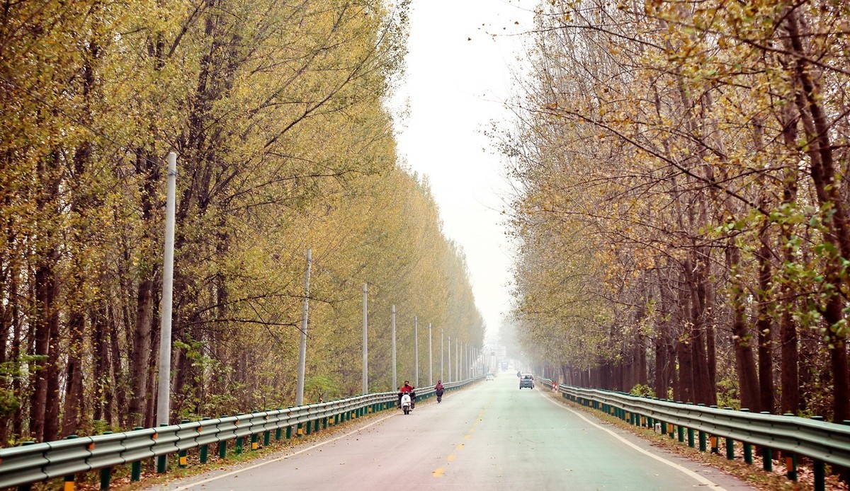 徐州及周边国道（秋色）